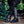 Men's Elderwood Tabi - Classic Black
