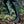 Bottes Bramblewood pour femme - Vert Dragonseye et Noir classique