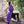 Bramblewood Long Vest - Nightshade Purple