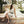 Domina Dress -Ivory