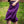 Warrior Shorts - Nightshade Purple