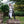Bramblewood Long Vest - Black and White