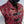 Bramblewood Longvest Sample: Brocade 1 - Red & Gold, Size Medium