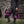 Noble Landsknecht Pants - Black and Purple