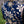 Crownguard Doublet - Navy
