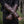 Bramblewood Gauntlets - Empyrial Regalia Special Edition