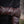 Bramblewood Gauntlets - Empyrial Regalia Special Edition
