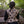 Doublet de Gardecouronne - Noir