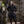 Adventurer Jodpur - Black