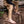 Adventurer Jodpur - Light Tan