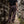 Greenvale Trousers - Dark Brown