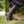 Women's Ares Knee-High Boots - Ironwood Brown
