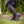 Men's Ares Knee-High Boots - Ironwood Brown, Men's Size 9 Standard, Popped Zipper