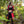 Bramblewood Crop Vest - Bright Red