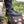 Men's Swift Rogue Combat Boots - Special Order