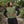 Fitted Men's Noble Vest - Acidmoss Green