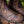 Men's Bramblewood Boots - Bramblewood Brown, Giantsblood with Orange Piping, Size 9
