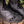 Women's Bramblewood Boots - Nightcourt, Size 11, Standard
