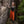 Wayfinder Cloak - Dark Green