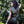 Havok Vest - Black Dragonskin