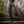 Tradesman Pants - Dark Green