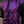 Cavaliere Doublet - Dark Purple, Size Medium