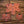 Bramblewood Maple Leaf Variety 3 Pack - Emberglow Orange