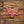 Bramblewood Maple Leaf Variety 3 Pack - Emberglow Orange