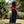 Aethervale Pants - Black