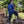 Men's Renaissance Tunic - Navy Blue