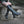 Women's Bramblewood Knee-High 4