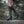 Women's Bramblewood Knee-High 4