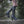 Women's Bramblewood Knee-High 4