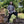 Men's Renaissance Tunic - Dark Grey