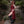 Bramblecourt Twilight Dress - Burgundy
