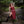Bramblecourt Twilight Dress - Burgundy