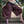 Warrior Shorts - Brown
