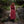 Bramblecourt Twilight Dress - Burgundy