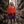 Whisper Fleece Cloak