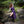 Bramblecourt Twilight Dress - Purple