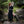 Bramblecourt Twilight Dress - Black