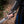 Razorpine Fingerless Gauntlets - Dark Brown