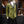 Huntress Riding Jacket - Acidmoss Green