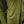 Huntress Riding Jacket - Acidmoss Green