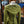 Huntress Riding Jacket - Acidmoss Green