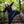 Brighthall Harem Pants - Navy