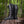 Bottes Ares montantes pour femme – Peau de dragon noire