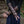 Elderwood Fingerless Gauntlets - Empyrial Regalia Special Edition