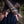 Elderwood Fingerless Gauntlets - Empyrial Regalia Special Edition