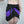 Verillas Sample String Bikini & Wrap Set - Black & Purple, Size Medium/Large